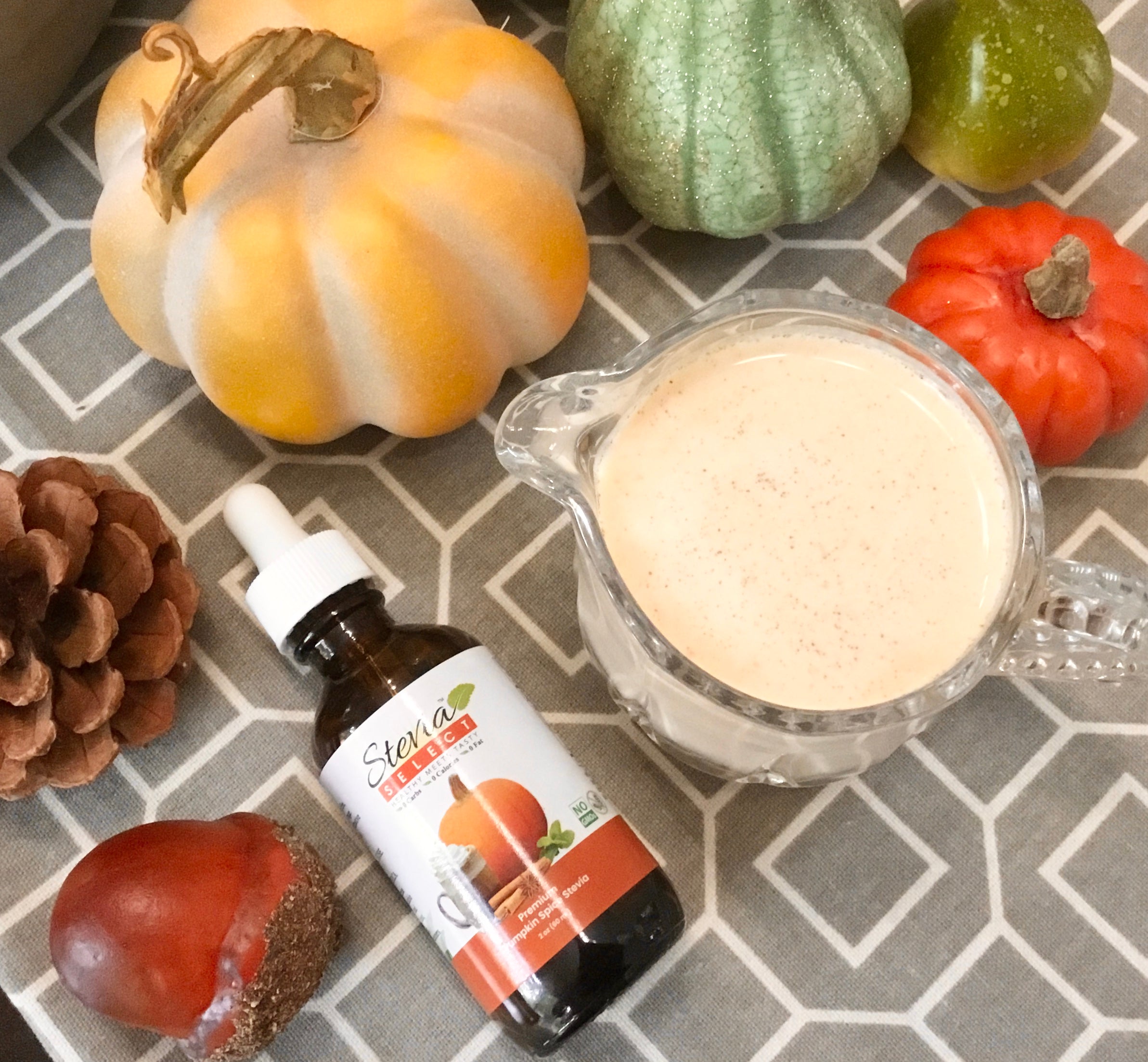 Pumpkin Spice Creamer
 &ndash; Stevia Select