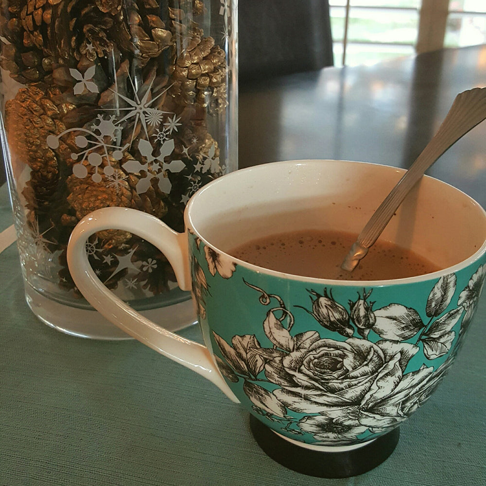 HOT CHOCOLATE MADE WITH STEVIA & RAW COCAO