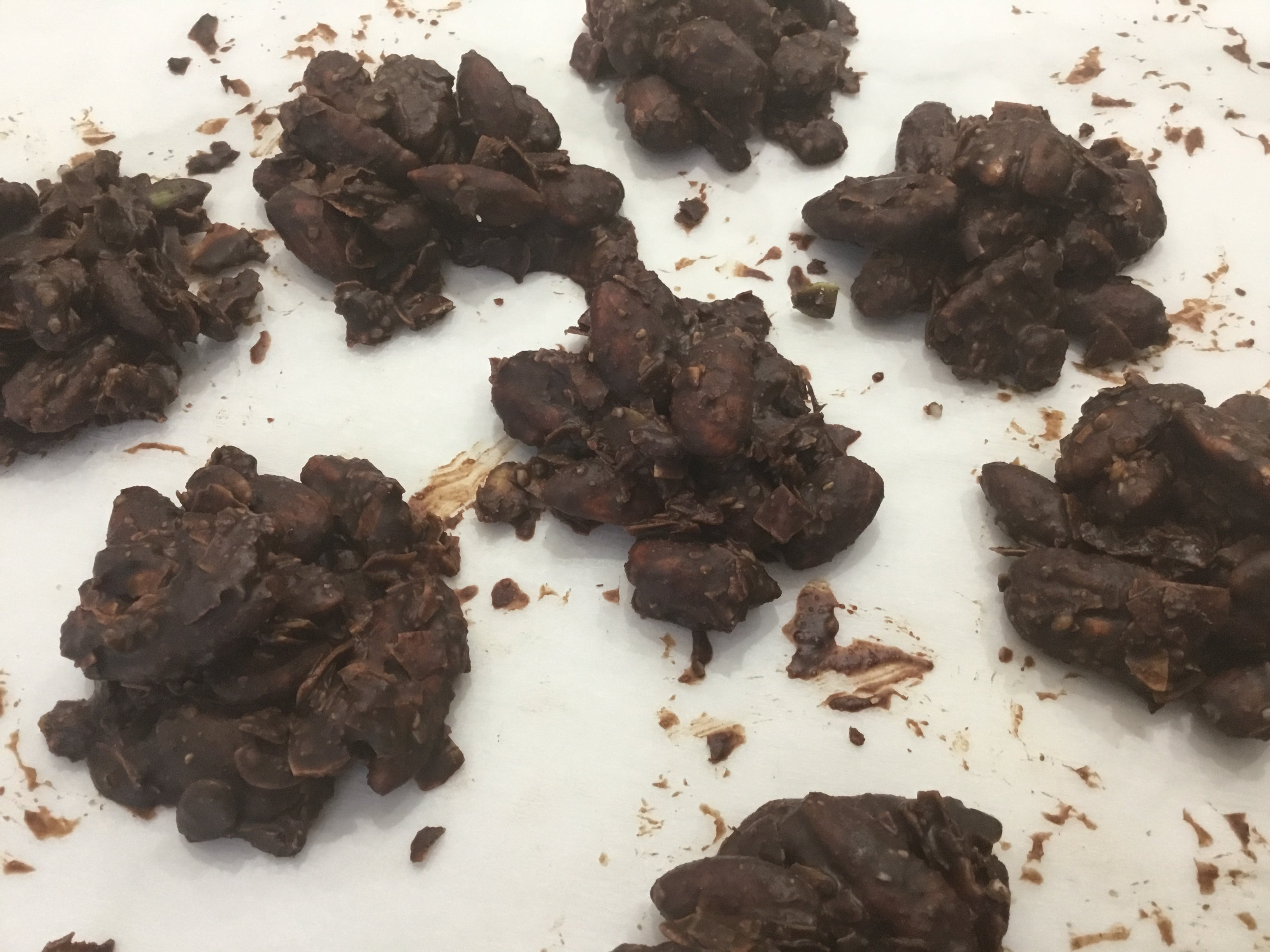 Dark Chocolate Low Carb Granola Clusters
 &ndash; Stevia Select
